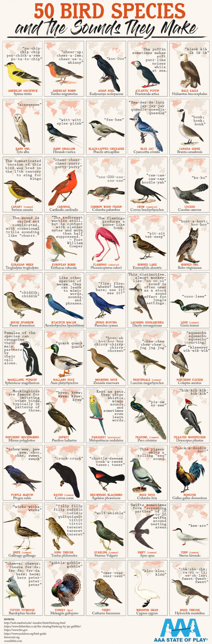 50-bird-species-sounds-they-make.png
