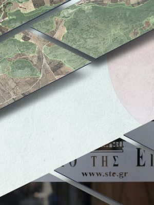 ΣτΕ 1072/2026: Παράνομη απόρριψη αίτησης για ανάκληση απόφασης κήρυξης αναδασωτέας έκτασης