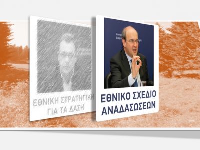 Από την Εθνική Στρατηγική για τα Δάση, στο Εθνικό Σχέδιο Αναδασώσεων