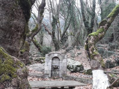 Κανονισμός (ΕΕ) 841/2018 – Ακόμα μία χαμένη ευκαιρία για τα ελληνικά δάση;