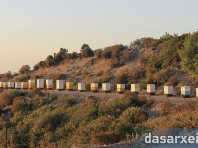 ΟΜΣΕ: «Δε θα είναι οι μελισσοκόμοι τα εξιλαστήρια θύματα για τις φωτιές αυτό το καλοκαίρι!»