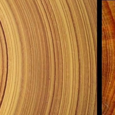 Προσδιορισμός και επαλήθευση ακραίων ξηρασιών στην Ελλάδα από τον 14ο ως τον 19ο αιώνα – Συμβολή αυτών στην προσαρμογή αντίστοιχων πιθανών φαινομένων κατά τον 21ο αιώνα