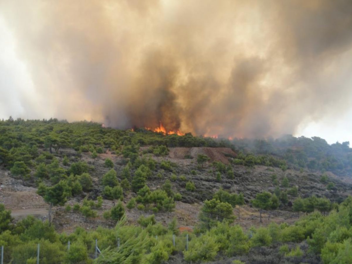 Συμμετοχή δασικών υπαλλήλων σε συμβάν δασικής πυρκαγιάς που έγινε στις 16/7/2020 στην περιοχή του Εθνικού Δρυμού Σουνίου, περιοχή ευθύνης Δασαρχείου Λαυρίου