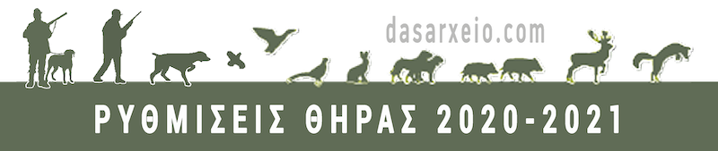 rithmiseis_thiras_2020_21