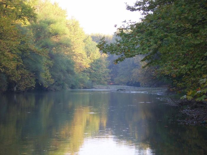 Παλιούρι Σπερχειού (konstantinosdavanelos.blogspot.com)