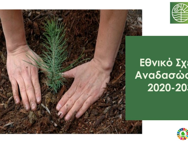 Με γοργούς ρυθμούς το Εθνικό Σχέδιο Αναδασώσεων