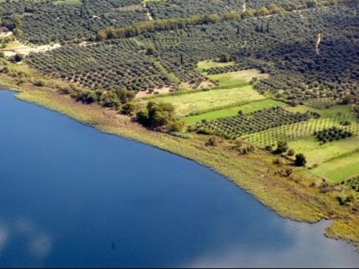 Κίνδυνοι και απειλές για τον προστατευόμενο οικότοπο της λίμνης Τριχωνίδας (vid)