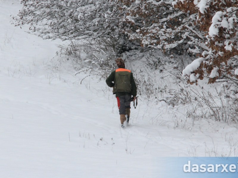 Απαγορεύσεις θήρας λόγω χιονοπτώσεων – Έκδοση Δασικής Απαγορευτικής Διάταξης (Δ.Α.Δ.).