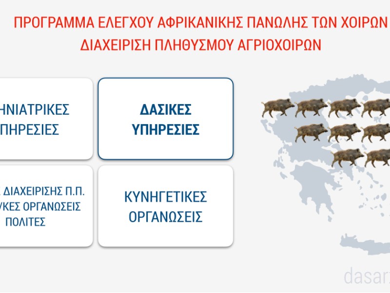 Ο ρόλος των δασικών υπηρεσιών στη διαχείριση του πληθυσμού των αγριόχοιρων