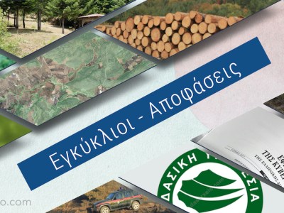 Νέα εγκύκλιος για ζητήματα κυριότητας σε δάση, δασικές και χορτολιβαδικές εκτάσεις