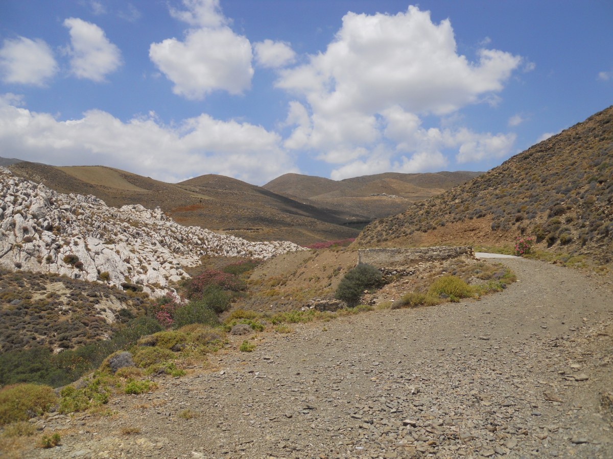 Παρακολούθηση και Μελέτη Περιοχής Αστερουσίων και Σχέδιο Αποκατάστασης με Λύσεις Βασισμένες στη Φύση στο πλαίσιο ενός νέου έργου LIFE