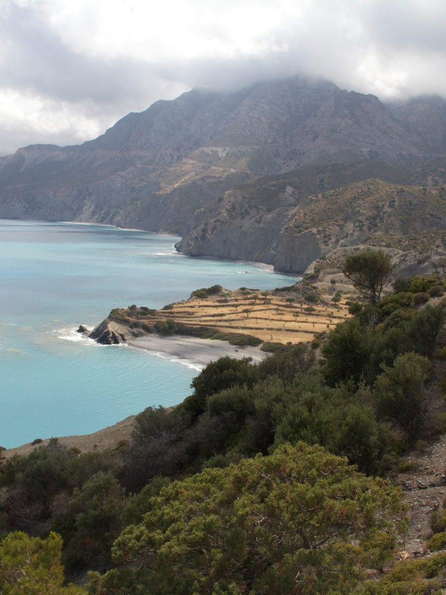 To άρθρο 24 Σ δεν πρέπει να αναθεωρηθεί