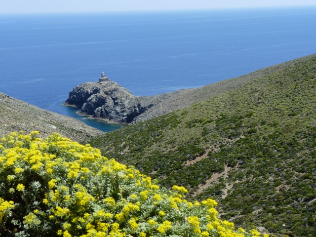 Ο χαρακτήρας των εκτάσεων ως κριτήριο της υπαγωγής τους στη δασική νομοθεσία