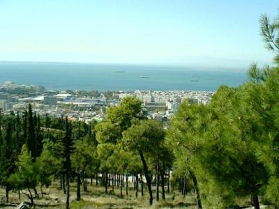 Με αφορμή την εκδήλωση του ΓΕΩΤΕΕ για το Δάσος του Σέιχ Σου