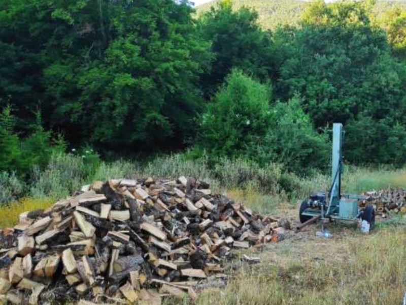 Νέα επιτυχία του Δασαρχείου Ιωαννίνων στην μάχη για τη πάταξη της λαθροϋλοτομίας