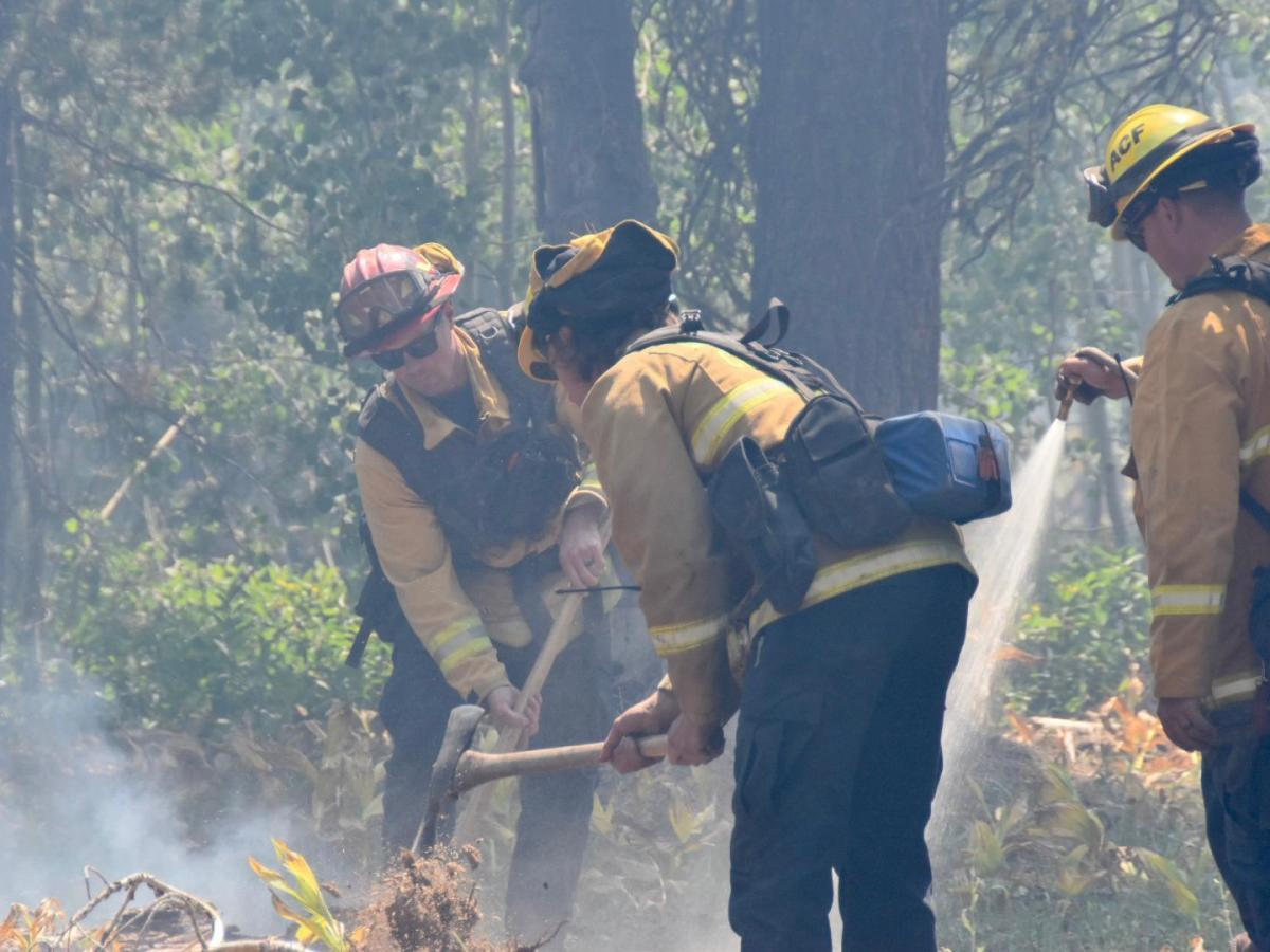 Το σχέδιο του Μητσοτάκη για δασοπυρόσβεση – δασοκομάντος