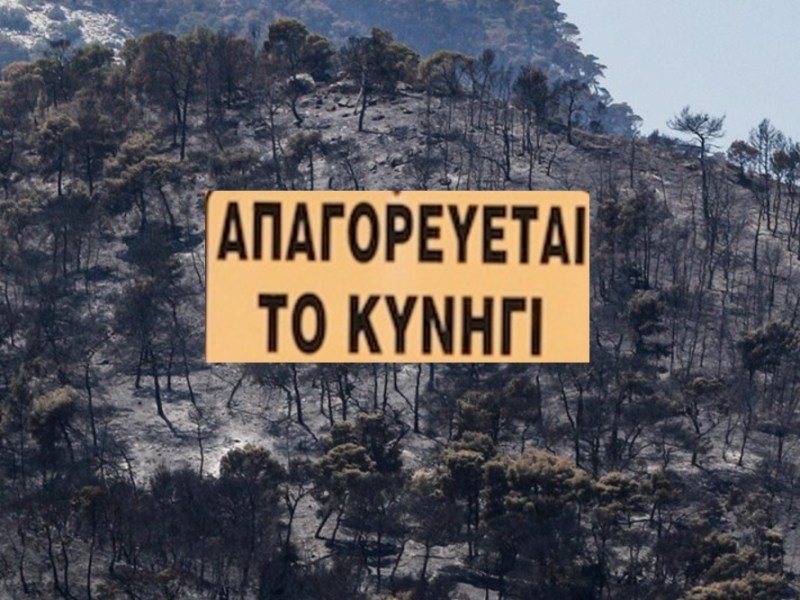 Γενική Γραμματεία Δασών: Άμεση απαγόρευση θήρας στις καμένες περιοχές