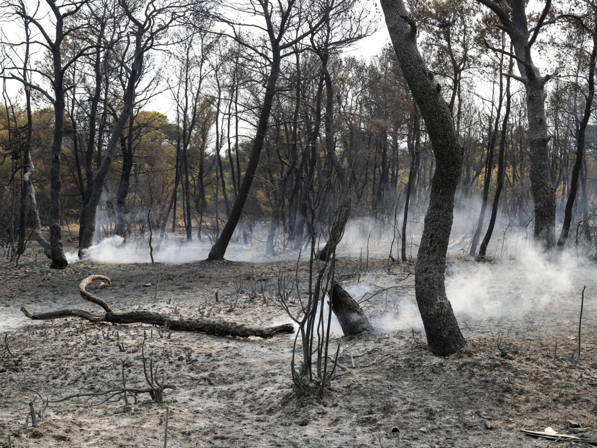 Δασικές πυρκαγιές: το πιο φυσικό πρόσωπο της κλιματικής αλλαγής
