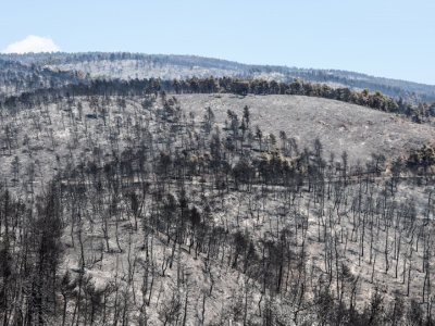 Απολογισμός πυρκαγιών κατά την τρέχουσα αντιπυρική περίοδο