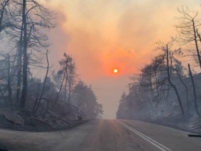 Ο ρόλος της περιβαλλοντικής νομοθεσίας στην πρόληψη και αντιμετώπιση των δασικών πυρκαγιών