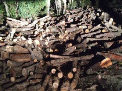 Κατάσχεση υλικών μέσων και προϊόντων λαθροϋλοτομίας από το Δασαρχείο Ιωαννίνων εντός του Εθνικού Πάρκου της Βόρειας Πίνδου