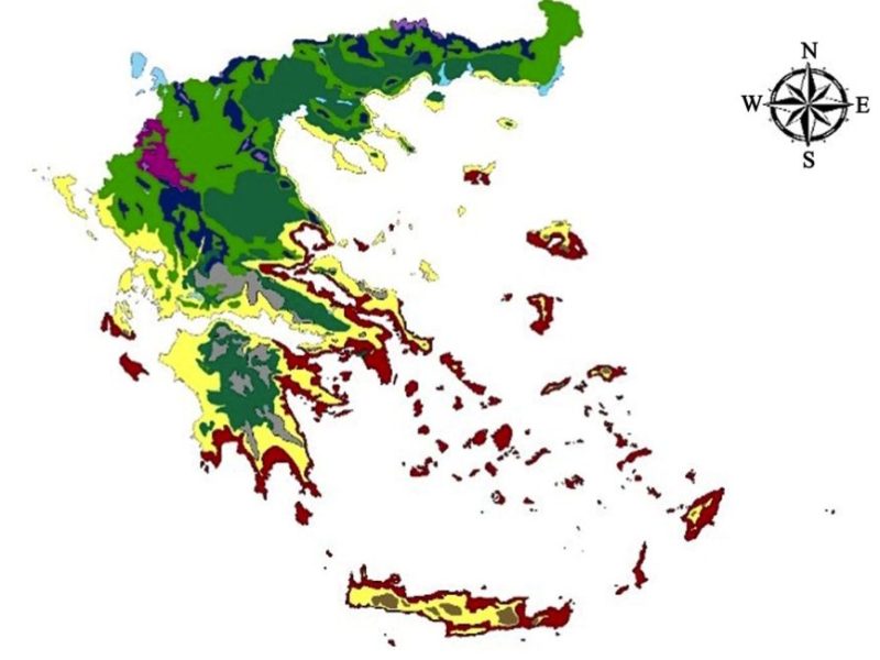 Ερευνητική εργασία – ανασκόπηση για τα δάση της Ελλάδας