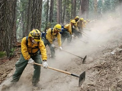 Συστήνονται Ειδικές Μονάδες Δασικών Επιχειρήσεων σε 6 πόλεις της χώρας