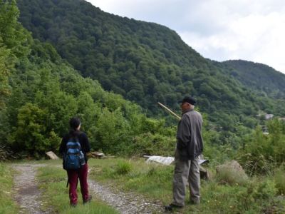 Από τη θρησκεία στη διατήρηση: Πώς μια τοπική κοινότητα προστάτευσε με επιτυχία το τοπικό της ιερό δάσος για 300 χρόνια εν μέσω πολυτάραχων κοινωνικοοικονομικών αλλαγών