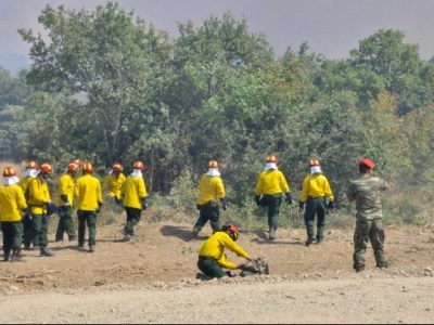 Είναι απαραίτητες οι Ειδικές Μονάδες Δασικών Επιχειρήσεων της Πυροσβεστικής Υπηρεσίας;