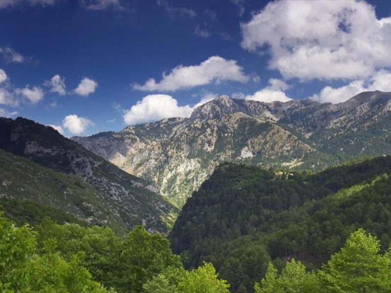 Η Νέα Δασική Στρατηγική της Ευρωπαϊκής Ένωσης για το 2030