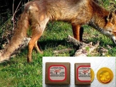 Η Ελλάδα στην επίσημη λίστα των χωρών χωρίς λύσσα