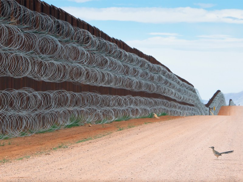 Συνοριακά τείχη και οικολογική καταστροφή