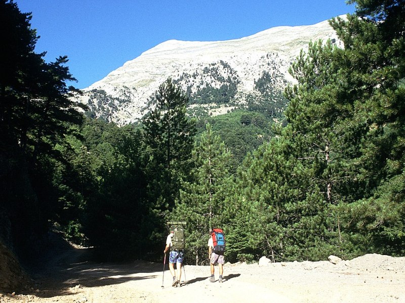Όροι και περιορισμοί για την προστασία της περιοχής άνευ δρόμων του όρους Ταΰγετος