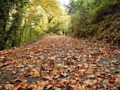 Σκόρπια περιβαλλοντικά λόγια