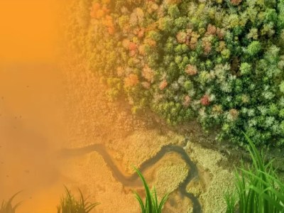 ΟΗΕ: Έχει υποβαθμιστεί το 40% των εδαφών του πλανήτη