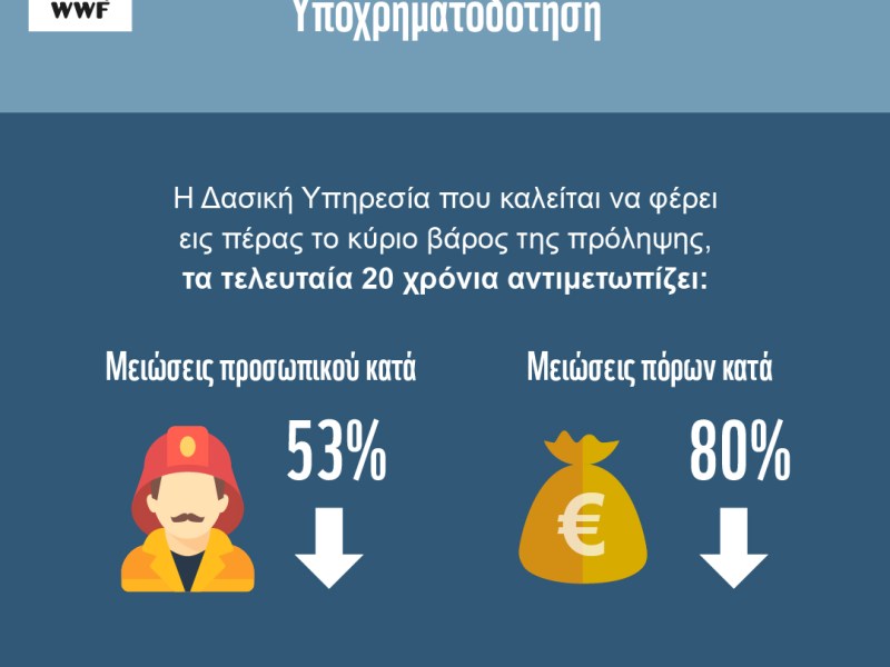 WWF Ελλάς: Τα οικονομικά της πρόληψης και της καταστολής των δασικών πυρκαγιών