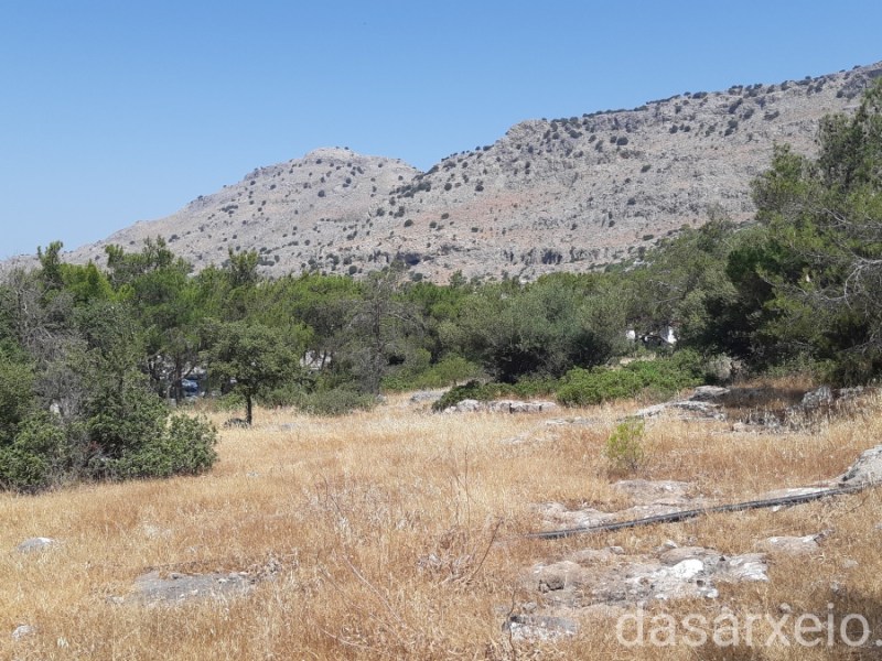 Συμβούλιο Ιδιοκτησίας Δασών, Δασικών, Χορτολιβαδικών και Βραχωδών Εκτάσεων με έδρα τη Ρόδο