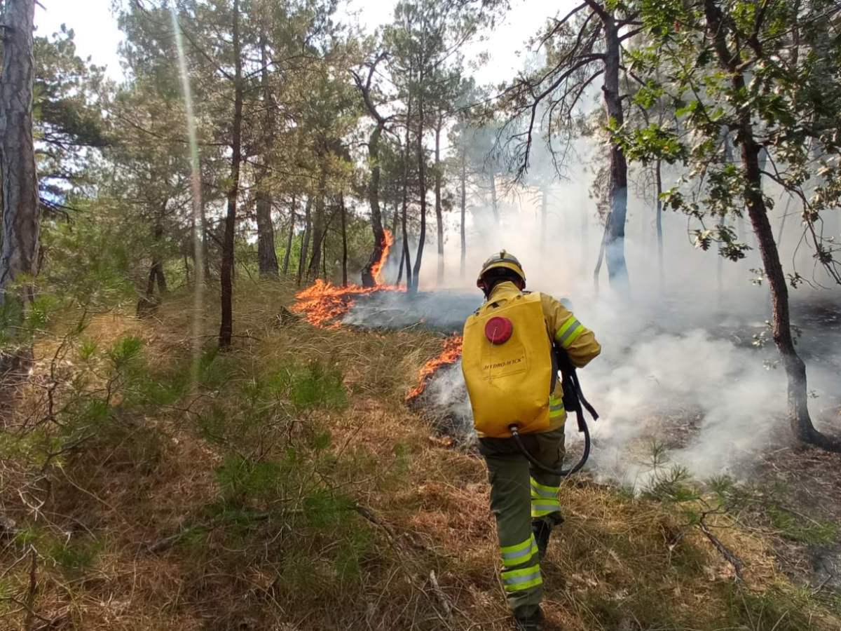 WWF: Τα ερωτήματα που “καίνε” τη Δαδιά