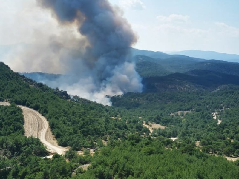 Καθ. Κοράκης για Δαδιά: Προσπάθεια δικαιολόγησης της αναποτελεσματικότητας