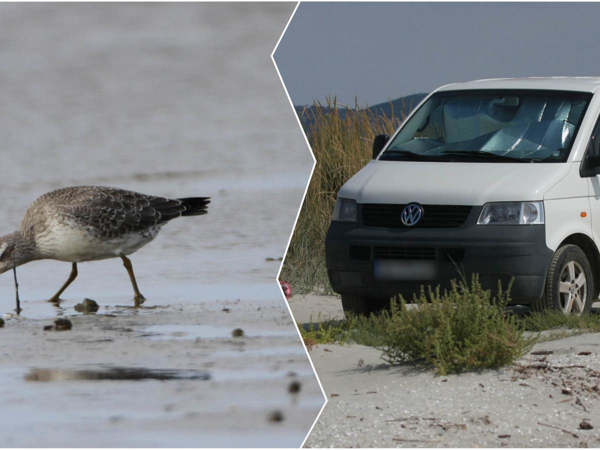 Δέλτα Έβρου: Προστατευόμενη Περιοχή ή Χώρος Ελεύθερης Στάθμευσης Τροχόσπιτων;