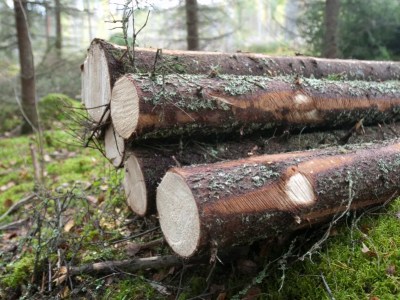 2η Πρόσκληση εγγραφής στο ηλεκτρονικό Μητρώο Πιστοποιημένων Αγοραστών Δασικής Βιομάζας
