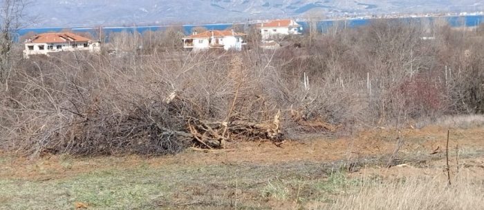 Στα όρια του χωριού Δισπηλιό βρέθηκε η φωλιά της αρκούδας μετά από εργασίες καθαρισμού σε παρακείμενο χωράφι
