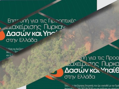 Η «κιβδηλοποίηση» του πορίσματος της Επιτροπής Goldammer