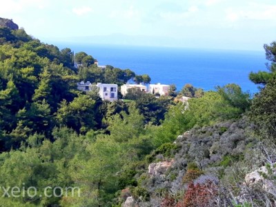 Δασολόγιο, Κτηματολόγιο και Ιδιοκτησιακά Δικαιώματα στην «αιχμή του δόρατος» – Η ανάδειξη της Δημόσιας Δασικής Κτήσης