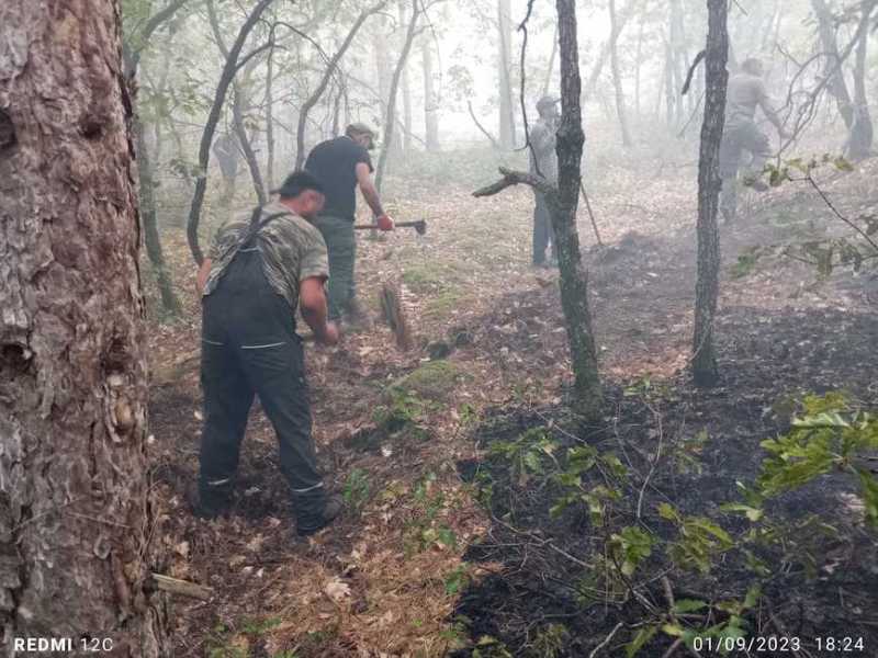 Οριοθέτηση του βόρειου μέτωπου της πυρκαγιάς της Κοτρωνιάς από τον Δασικό Συνεταιρισμό του Μεγάλου Δερείου