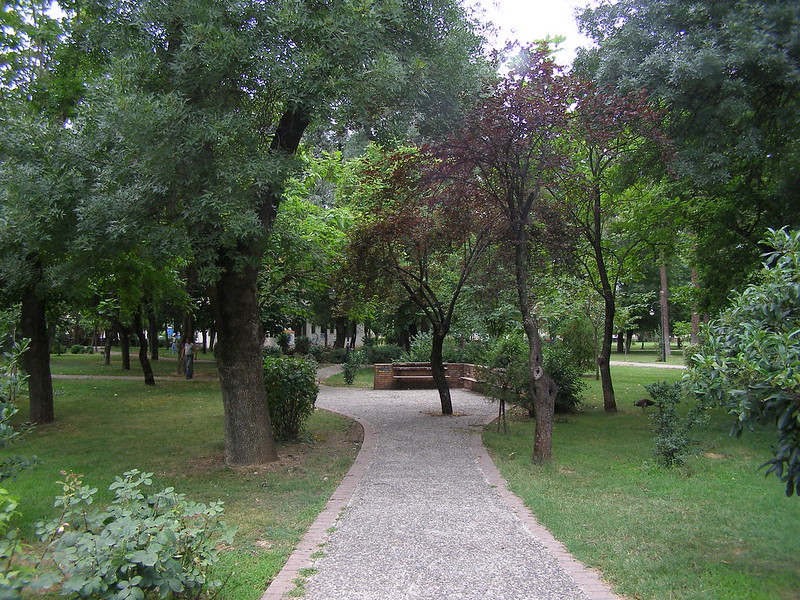 Κλαδεύσεις και υλοτομίες από τη …ΔΕΔΔΗΕ ΑΕ;