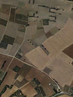 Τέλος στις διεκδικήσεις αγροτικών ακινήτων από το Δημόσιο