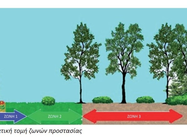 Καθαρισμοί εκτάσεων: Ερωτήματα για το εύρος εφαρμογής του Κανονισμού Πυροπροστασίας Ακινήτων και την υποχρέωση τήρησης της ισχύουσας δασικής νομοθεσίας