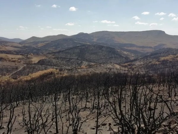 Η συχνότητα και το μέγεθος των ακραίων δασικών πυρκαγιών έχουν διπλασιαστεί τα τελευταία 20 χρόνια