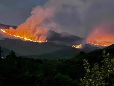 Η πανάκριβη «δασοπυρόσβεση» της Ελλάδας – «Η χειρότερη της Ευρώπης»